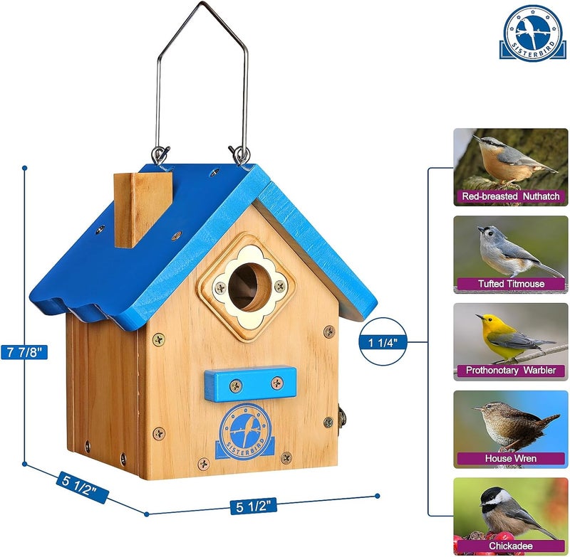 SISTERBIRD Wren Bird House for Outside, Premium Wooden Wren Bird Houses, Hanging Chickadee Bird House, Weatherproof Garden Decor Birdhouses for Outdoors, Blue Color Roof Bird Nesting Titmouse - Image 3